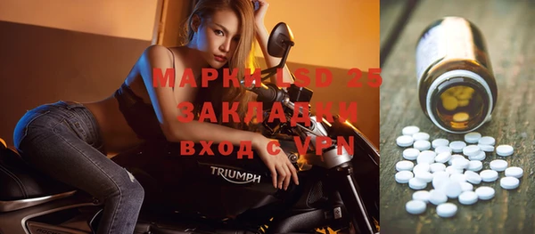 ПСИЛОЦИБИНОВЫЕ ГРИБЫ Киреевск