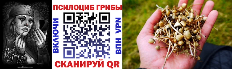 Псилоцибиновые грибы мицелий  купить наркотики цена  Кашира 